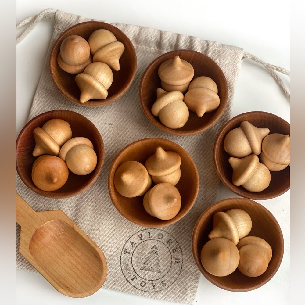 Montessori Wood Acorn Sorting Game